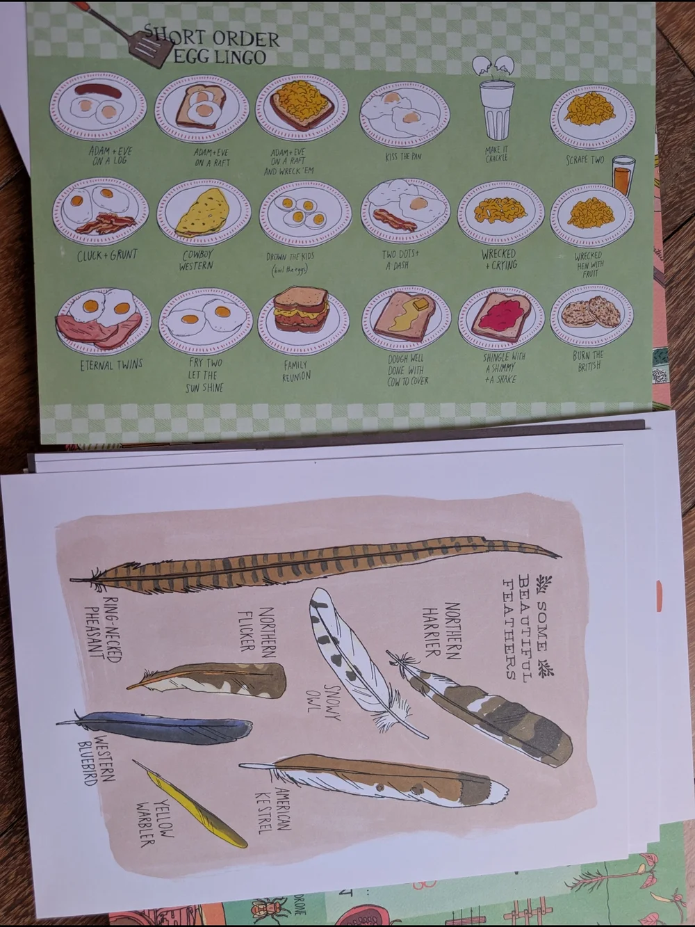 Julia Rothman Nature, Farm & Food Anatomy Boxed Set - Multi 3 Books